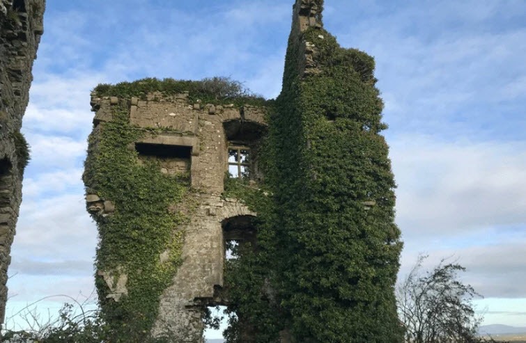 Carrigogunnell Castle, Ireland